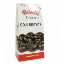 Paleolit Schoko-Goji Dragee 100 g MHD: 07.01.22