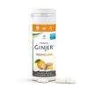 Ginjer Zahnpflegekaugummi mit Xylit und Stevia 30g Ingwer Orangen 20 Stück