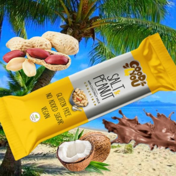 Good4You Süß & Salzig Erdnuss Schoko Riegel 25g MHD:28.03.26 (vegan, ohne Zuckerzusatz, mit Kokosmilch)