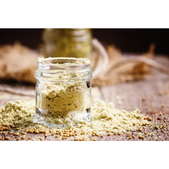 Paleolit Senfmehl teilentölt 1kg glutenfrei