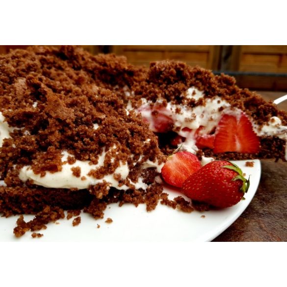 Speisekammer Schoko-Tassenkuchen Backmischung 55g (Paleo, glutenfrei, maisfrei, sojafrei, kohlenhydratreduziert)